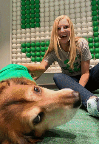 Best review platforms