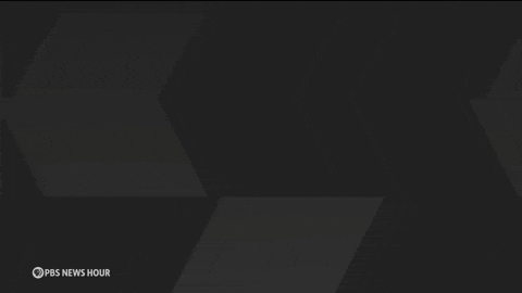 customer satisfaction survey examples